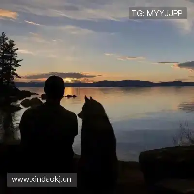 怀彤真